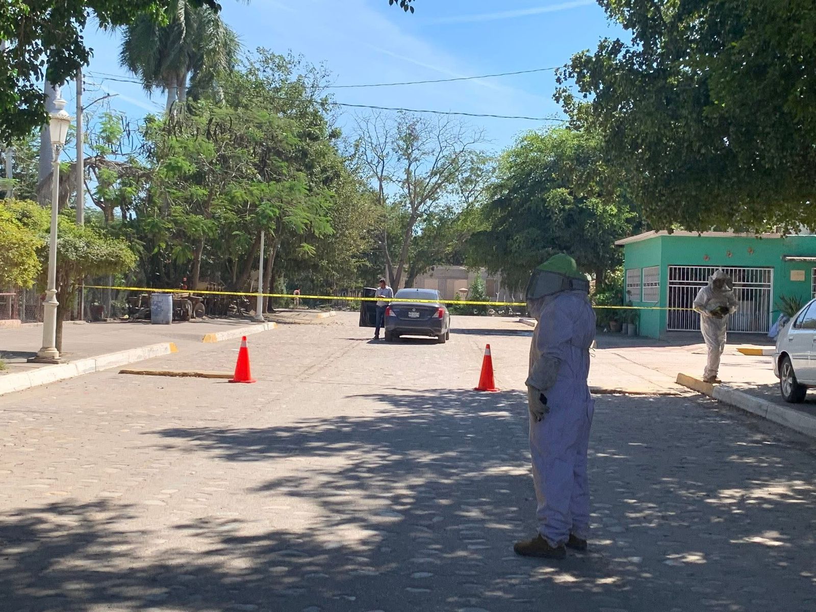 Ataque de abejas en Piaxtla de Abajo, San Ignacio, deja seis lesionados