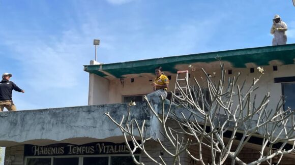 Ataque de abejas deja cinco lesionados, entre ellos tres elementos de Protección Civil en Teacapán, Escuinapa, Sinaloa