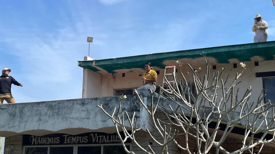 Personal de Protección Civil resultó herido en ataque de abejas en Teacapán, Escuinapa