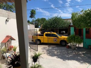 Atienden enjambre de abejas en San Ignacio