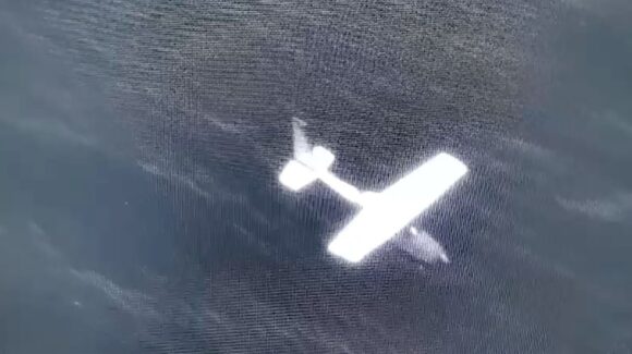 Detectan en Oaxaca, ‘narcoavioneta’ con más de media tonelada de drogas: García Harfuch