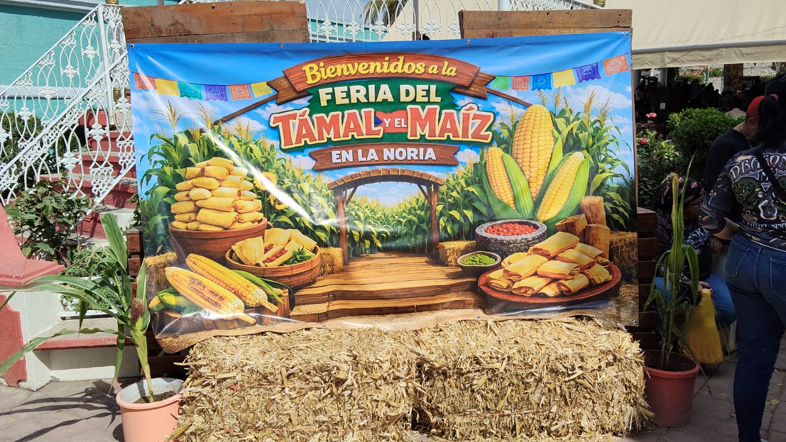 Beneficia puente vacacional al turismo en Sinaloa