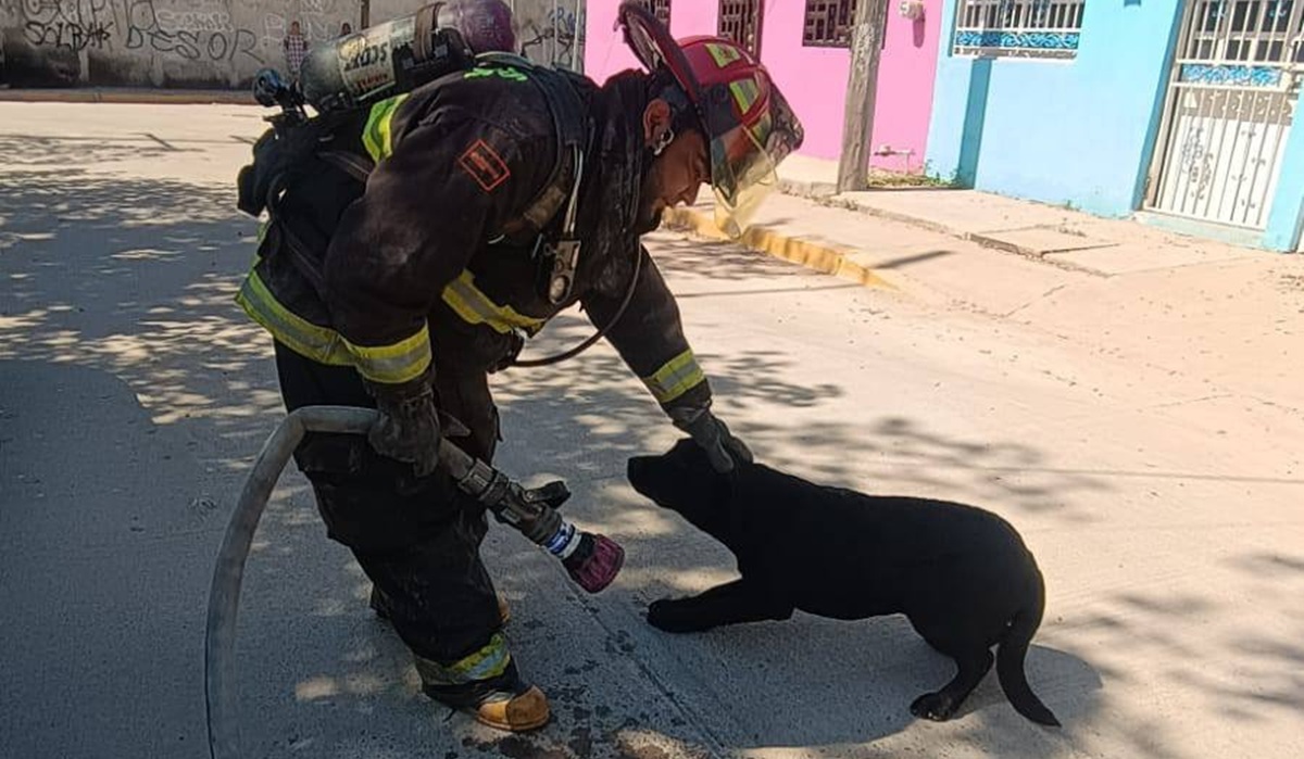 Bomberos Veteranos Mazatlán atienden fuga de gas