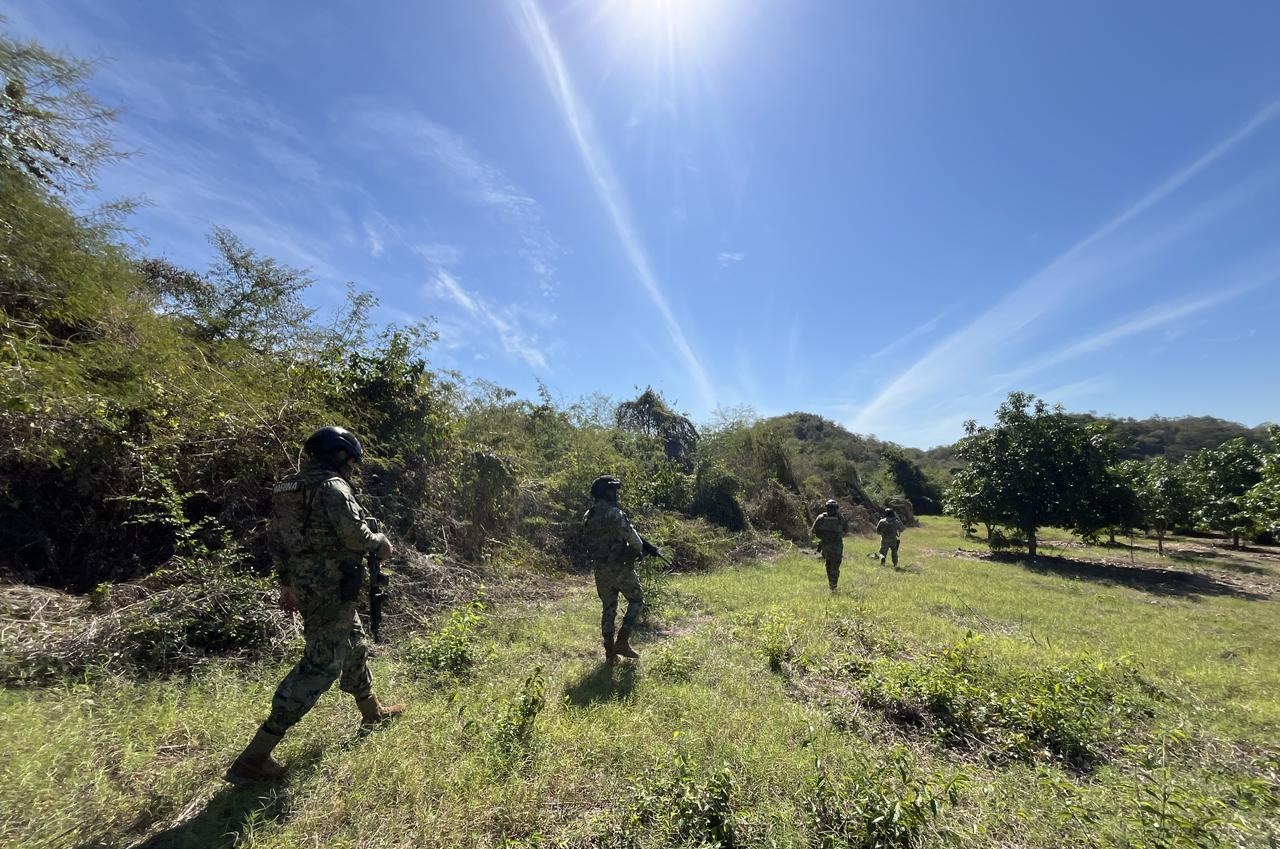 Campamento asegurado en Sinaloa