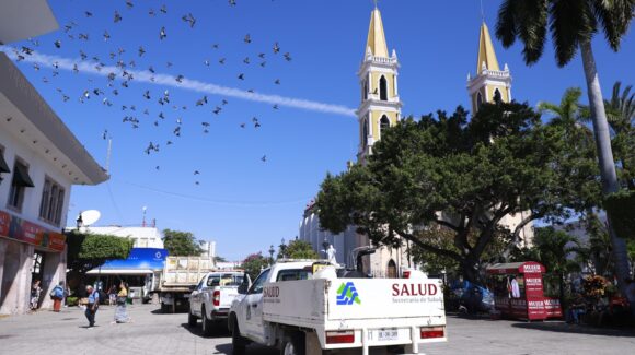 “Todos contra el dengue”: arranca en Mazatlán, Sinaloa, campaña para la eliminación de criaderos