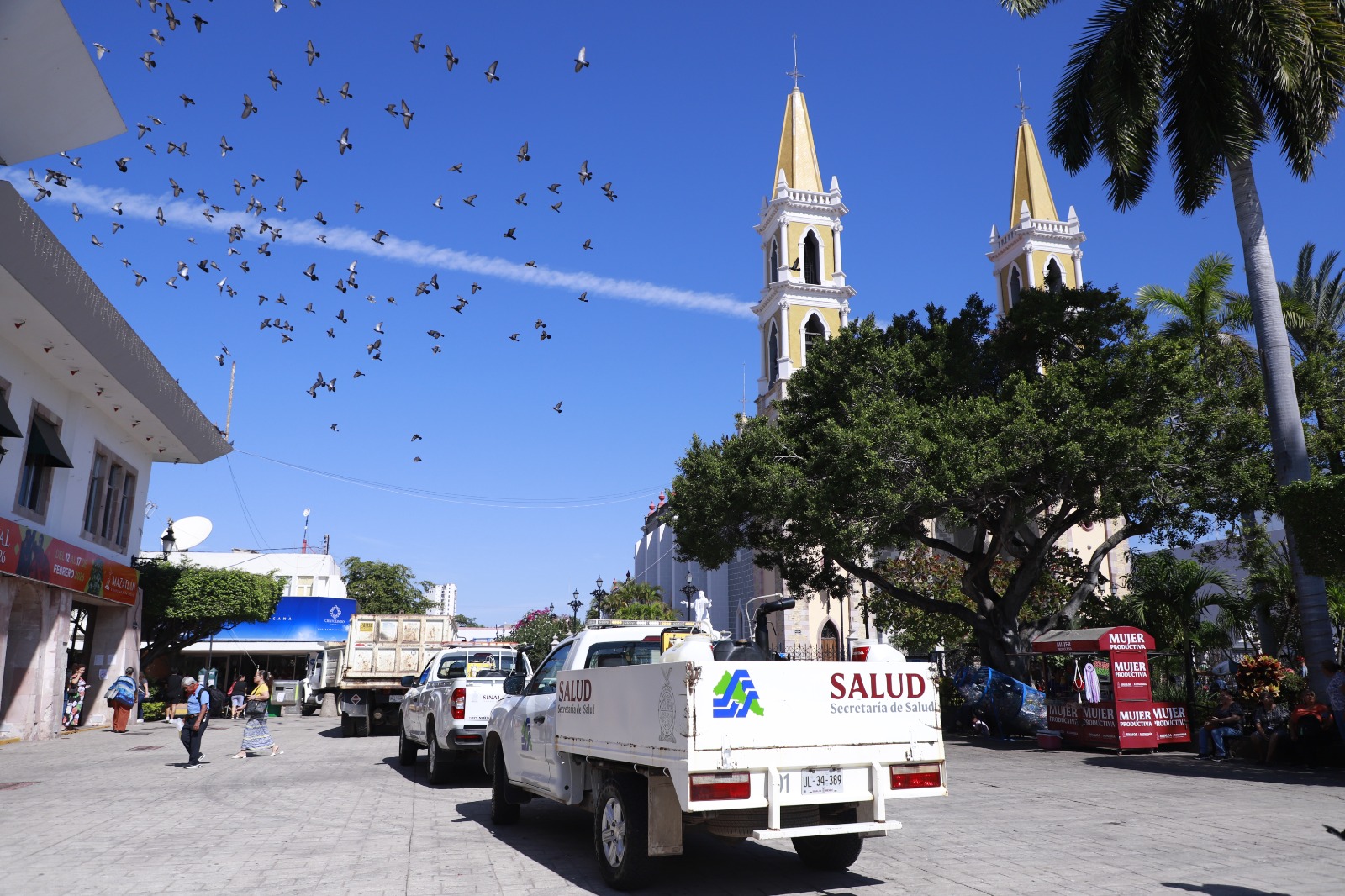 Campaña contra el dengue en Mazatlán