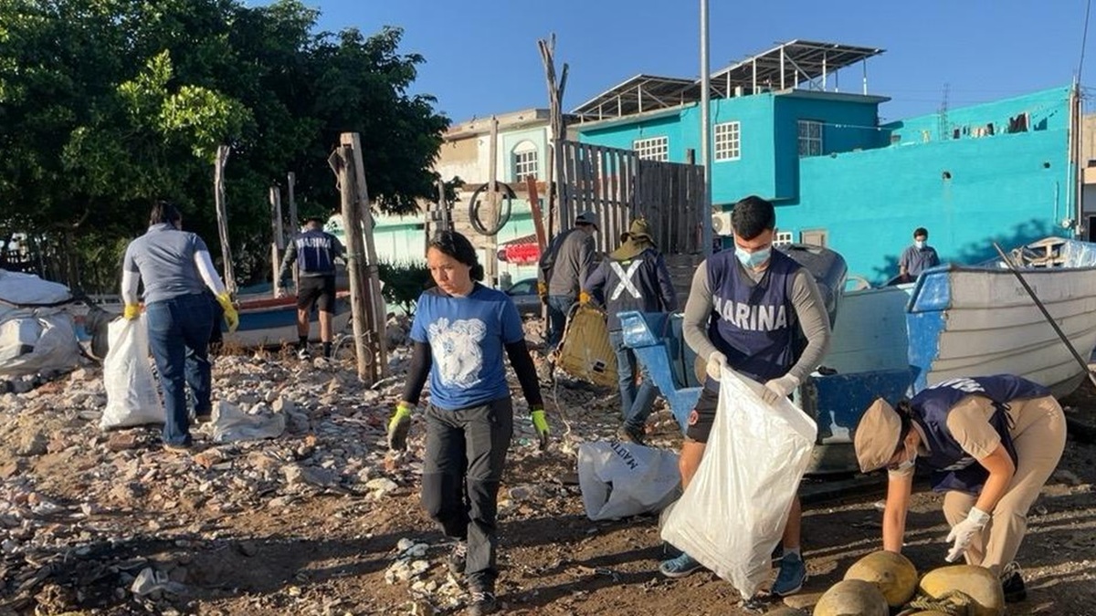 Campaña de limpieza en el Esterio de Infiernillo, en Mazatlán