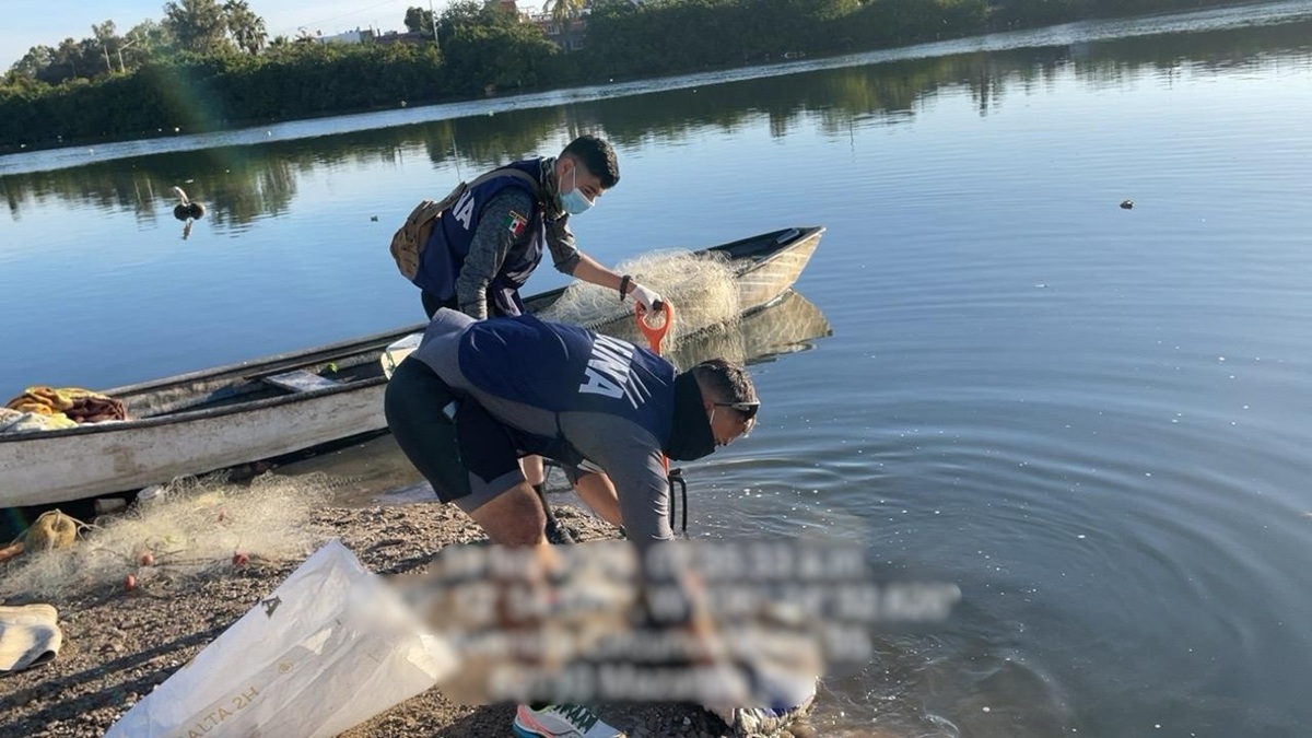 Campaña de limpieza en el Esterio de Infiernillo, en Mazatlán