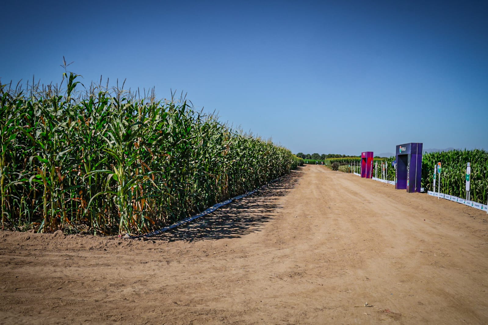 Expo Agro Sinaloa 2026