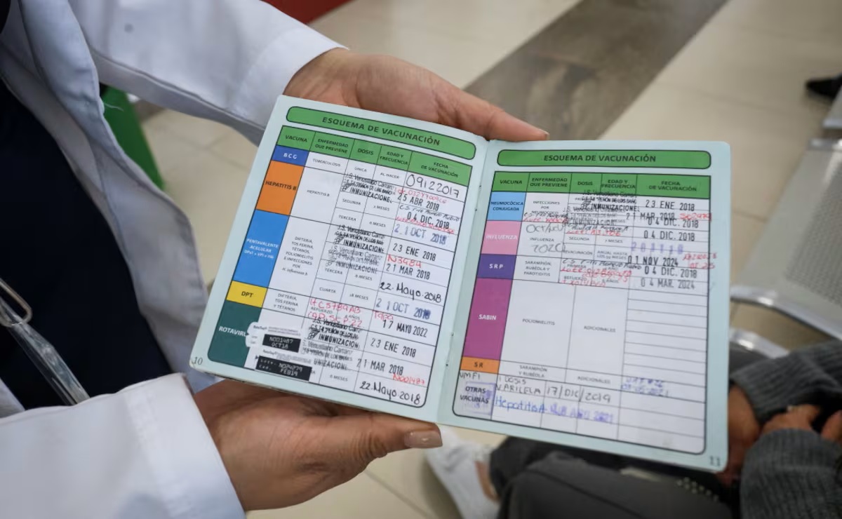 Cartilla de vacunación del IMSS