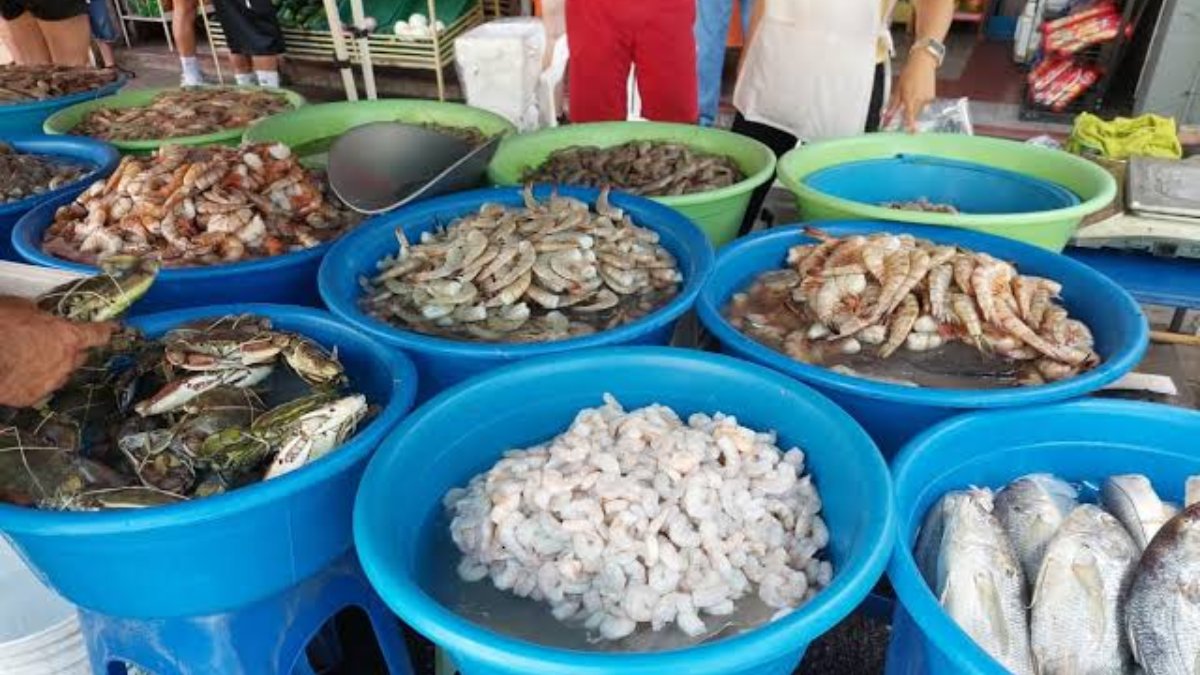 changueras de mazatlan sinaloa