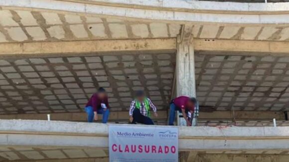 Clausura Profepa torre de condominios en zona de manglar de Mazatlán, Sinaloa