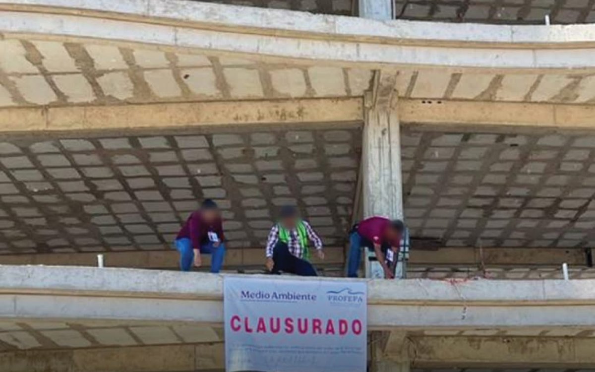 Clausura Profepa torre de condominios en zona de manglar de Mazatlán