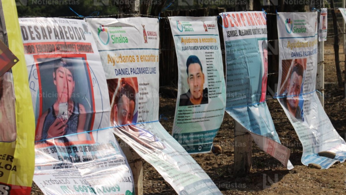 colectivo exige informacion tras hallazgo en el verde concordia desaparecidos