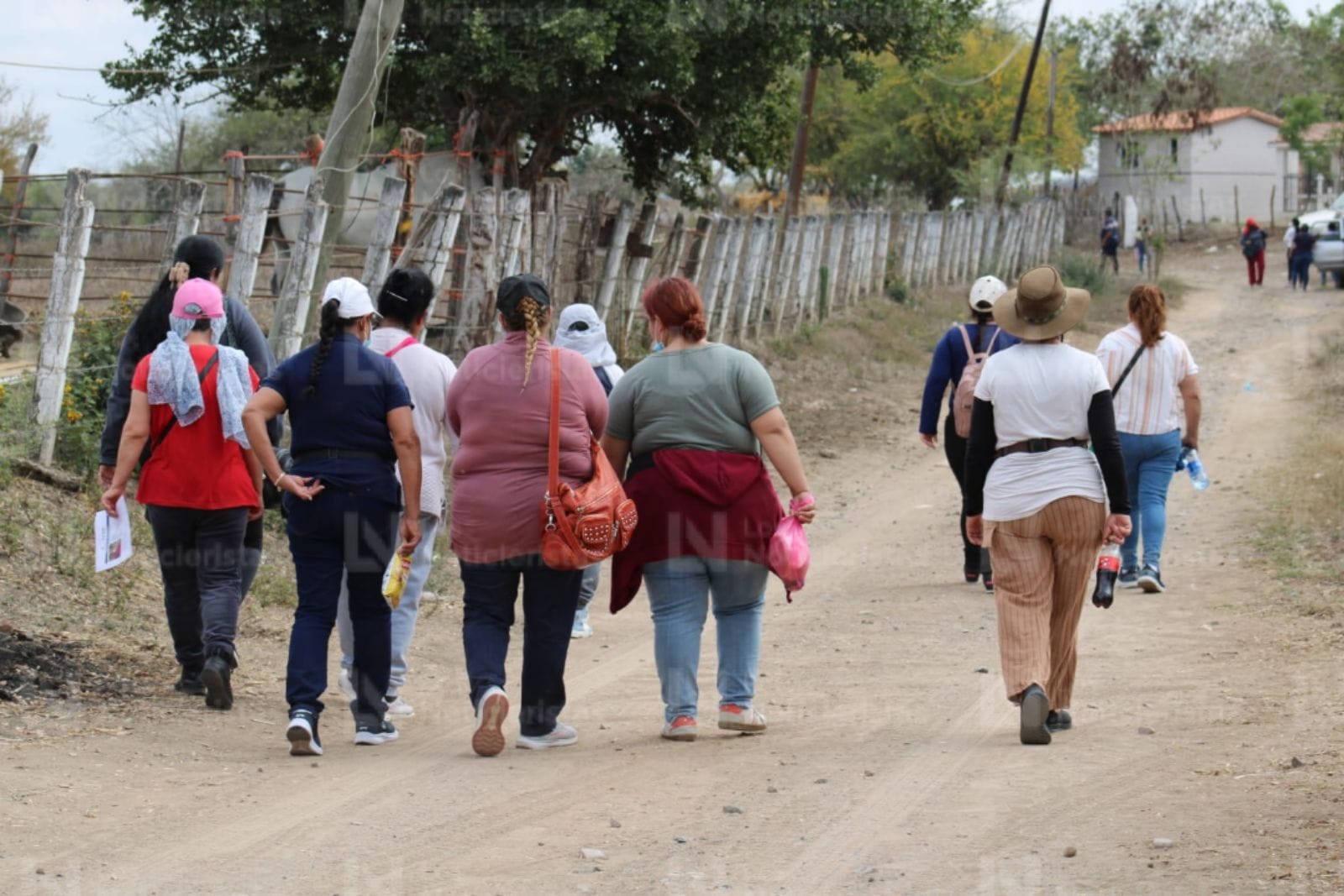 Colectivos de Durango llegan a El Verde, Concordia