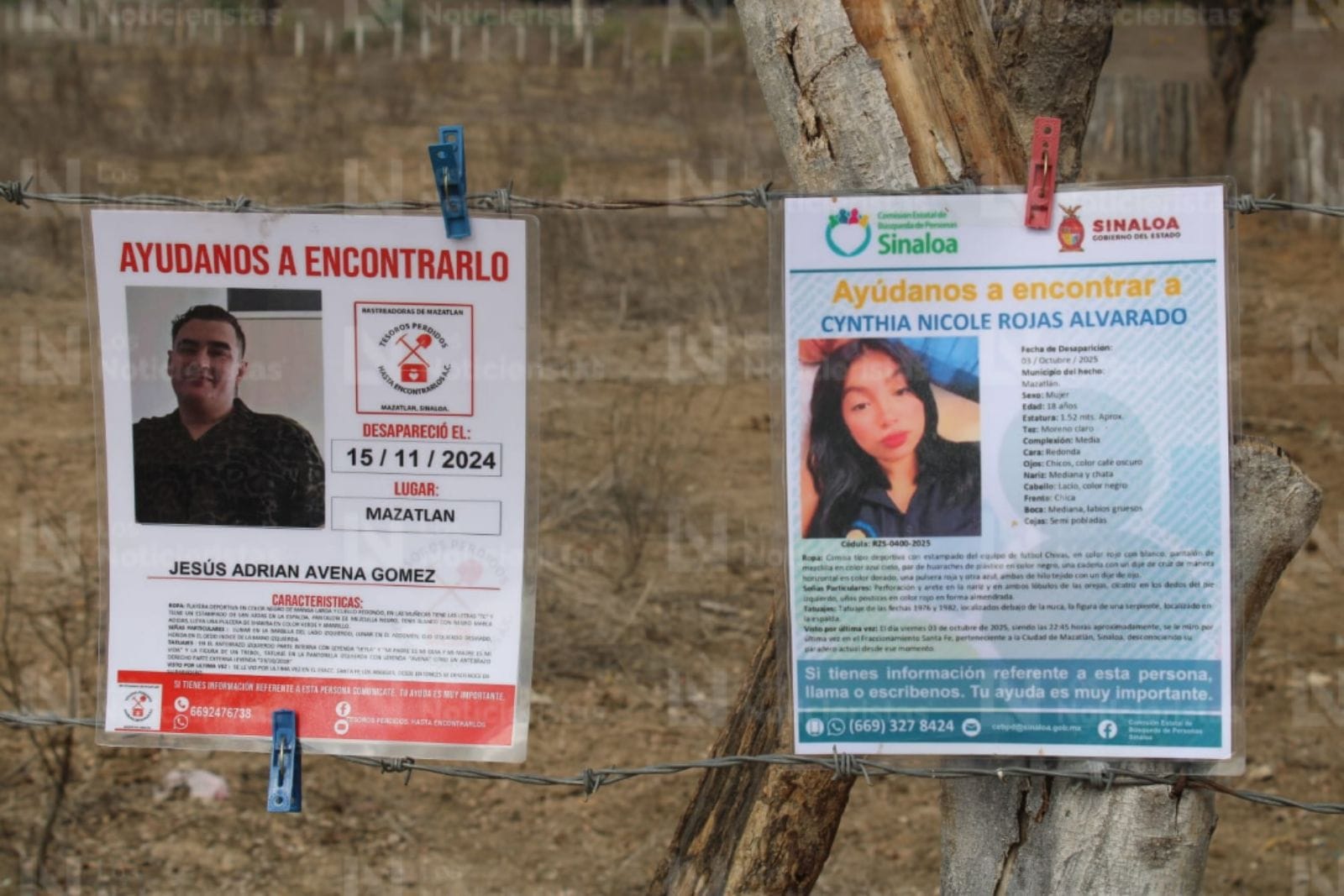 Colectivos de Durango llegan a El Verde, Concordia