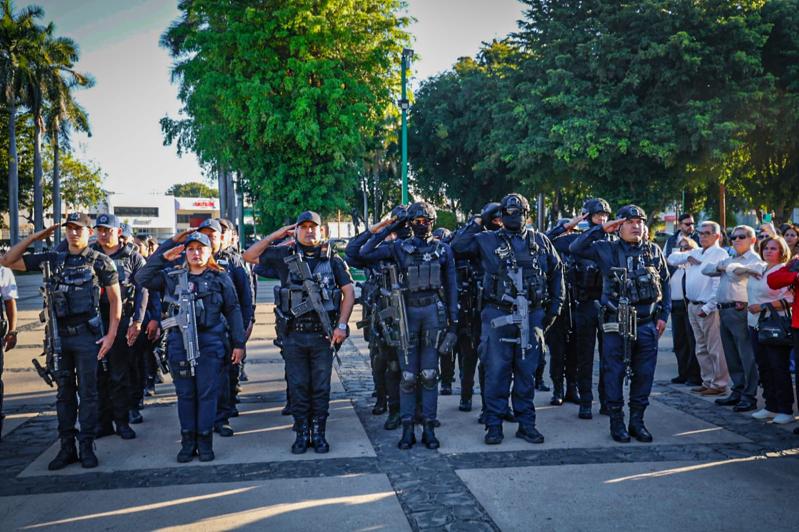 Elementos de la Policía