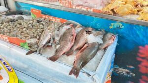 cuaresma en guasave