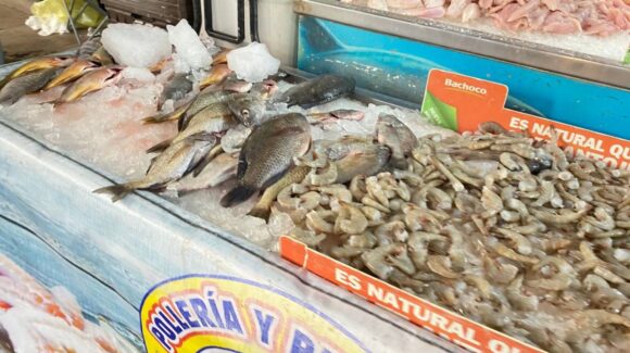 “El pescado se escondió”: pescadores de Guasave, Sinaloa alertan crisis en plena temporada de cuaresma