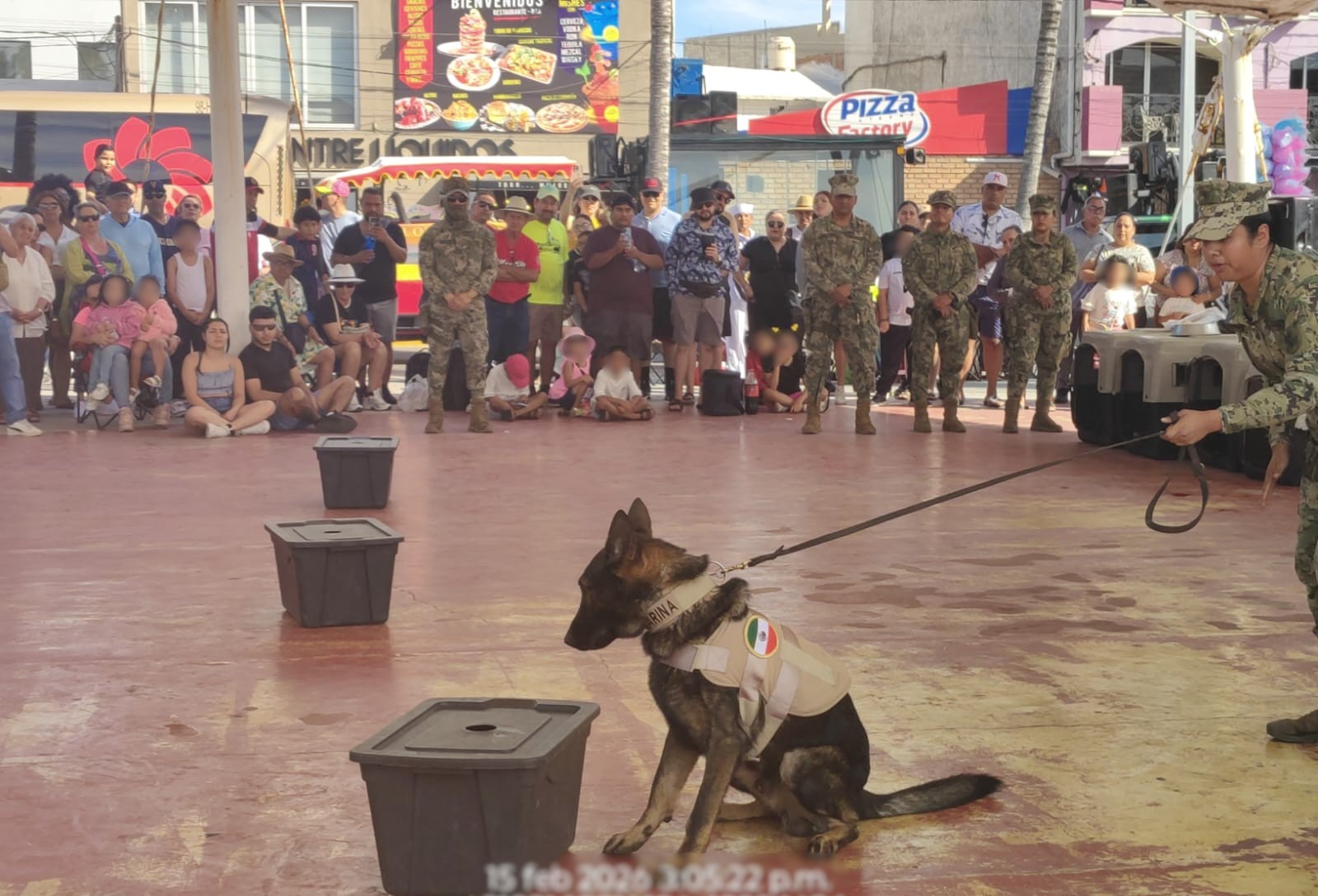 Marina realiza demostración de rescate marítimo y binomios caninos en Mazatlán
