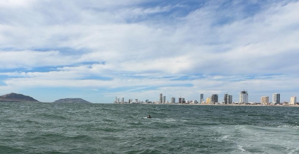 Marina realiza demostración de rescate marítimo y binomios caninos en Mazatlán
