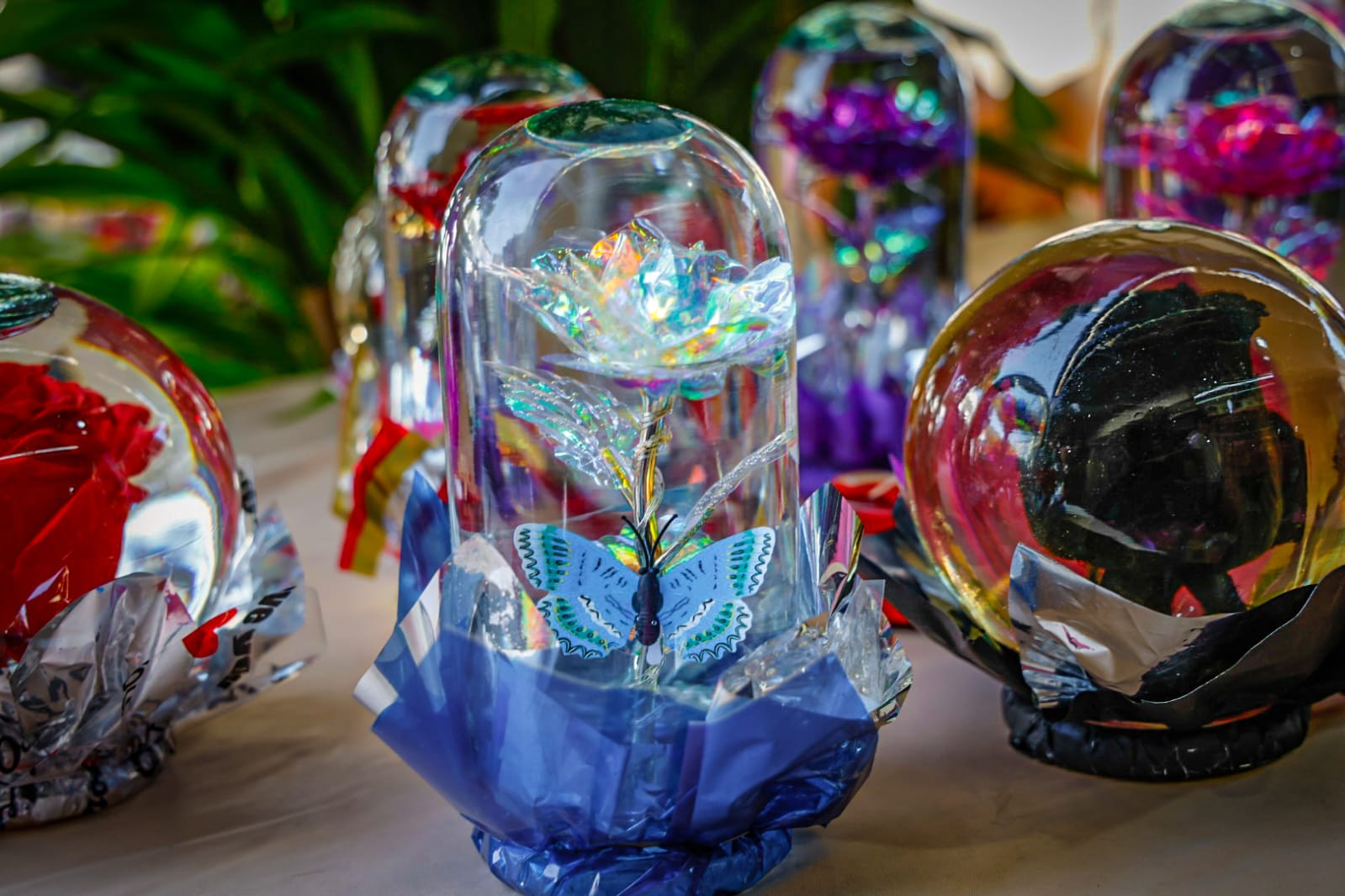 Detalle de cristal de venta en el Centro de Culiacán