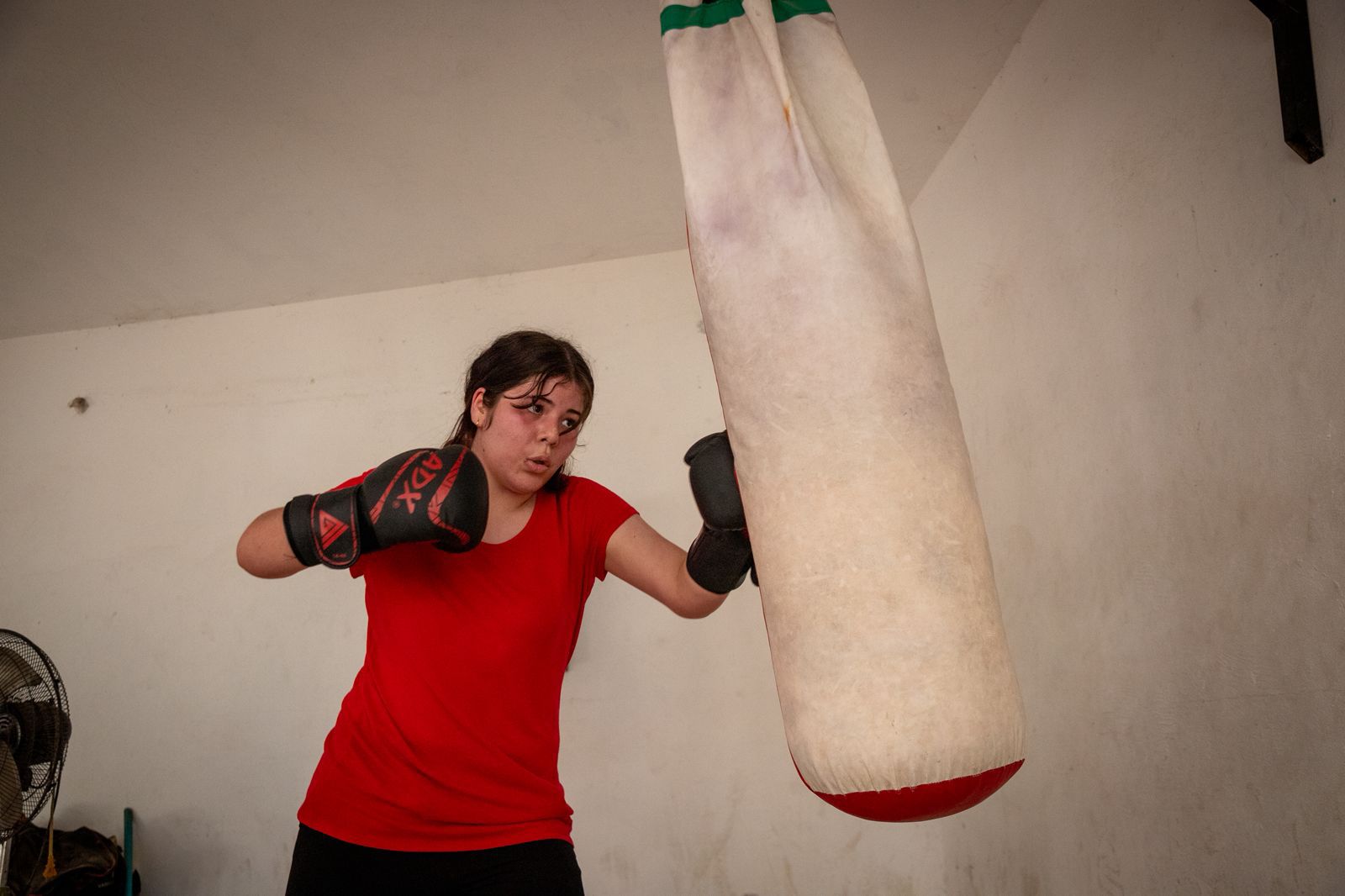 Develan placa en el Gimnasio de Box José Luis Velarde Cruz en Culiacán