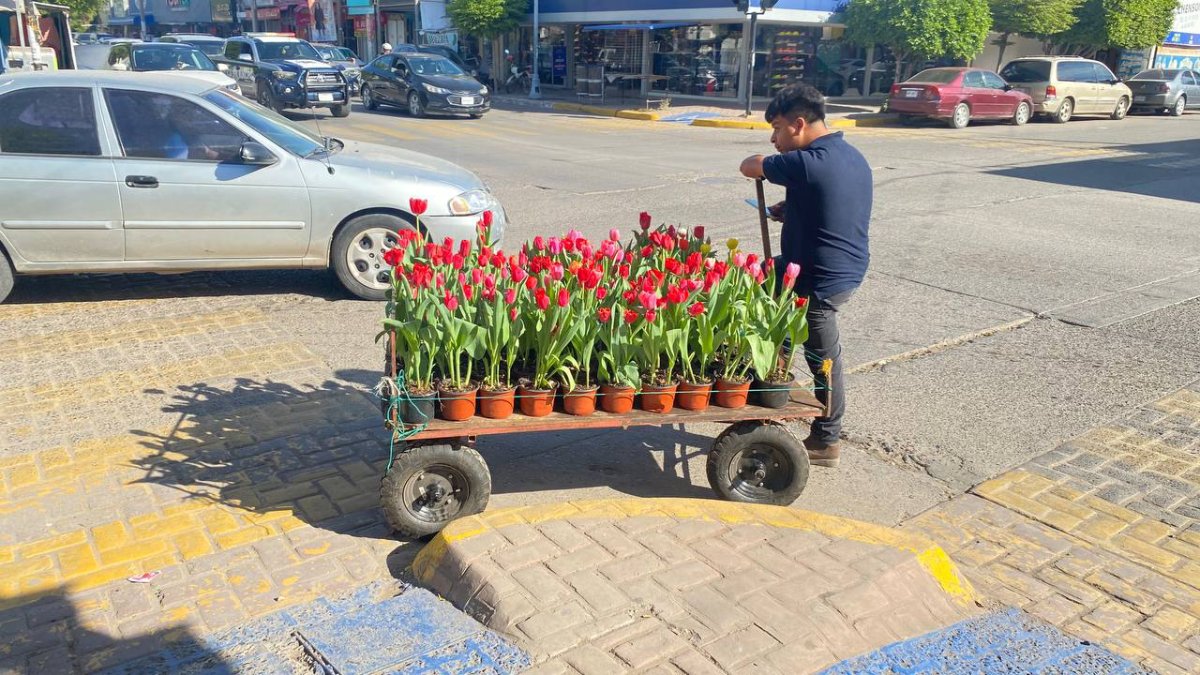 esto acostumbran a regalar en guasave rosas