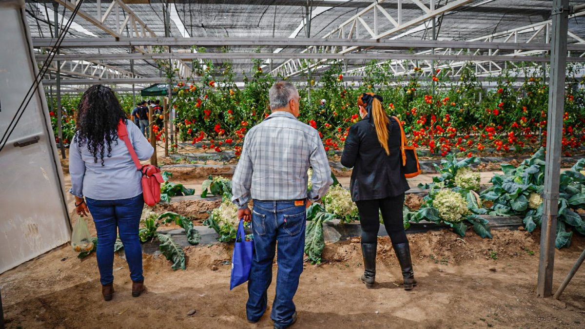expo agro 2026 en culiacan sinaloa siembra