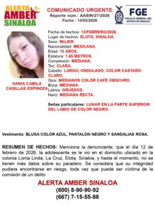 Ficha de búsqueda