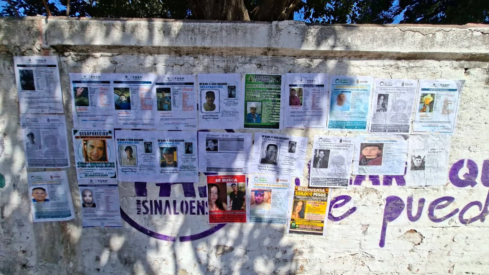 Fichas de búsqueda de sus familiares desaparecidos en el poblado de El Walamo