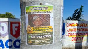 Fichas de búsqueda de sus familiares desaparecidos en el poblado de El Walamo