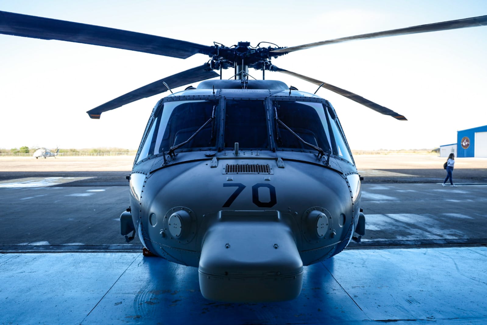 Fuerza Aérea Mexicana