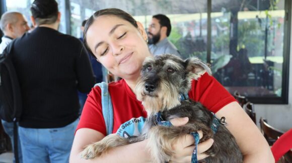 Balto y Togo rescata 37 animalitos en situación de maltrato durante enero en Culiacán, Sinaloa; requiere de apoyo para seguir brindado atenciones