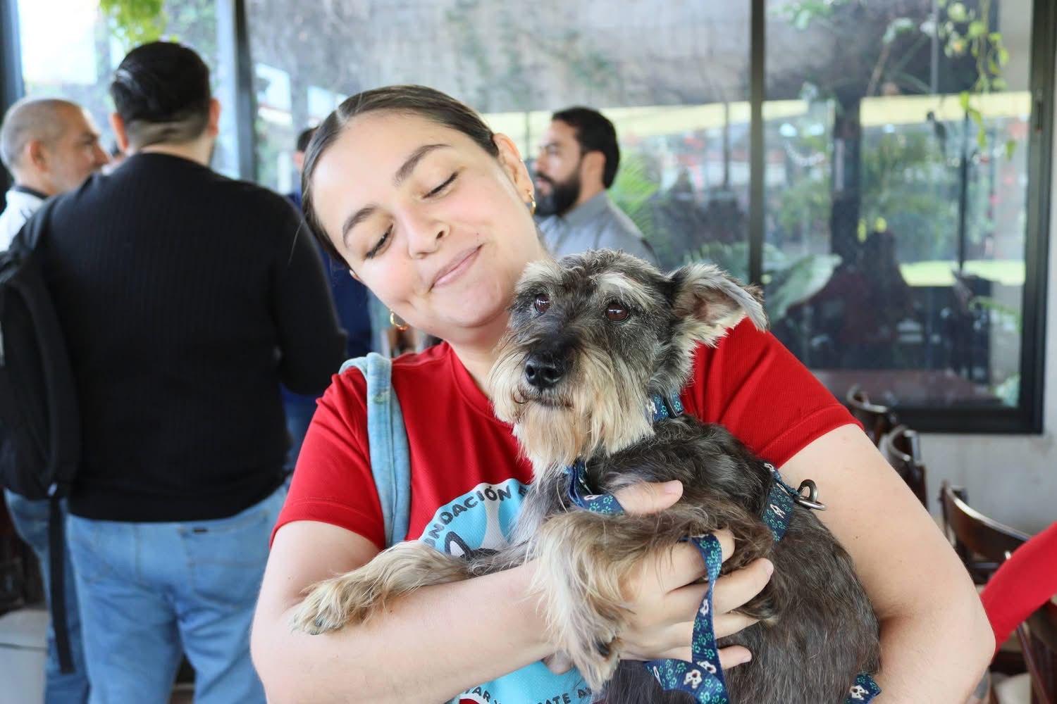 Fundación Balto y Togo invita a apoyar su causa en Culiacán