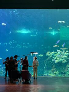 Acuario Mazatlán