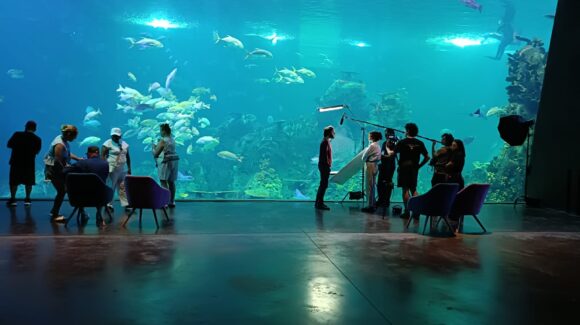 Se convierte Gran Acuario en escenario de cine; arrancan filmaciones de ‘Pimienta’ en Mazatlán, Sinaloa