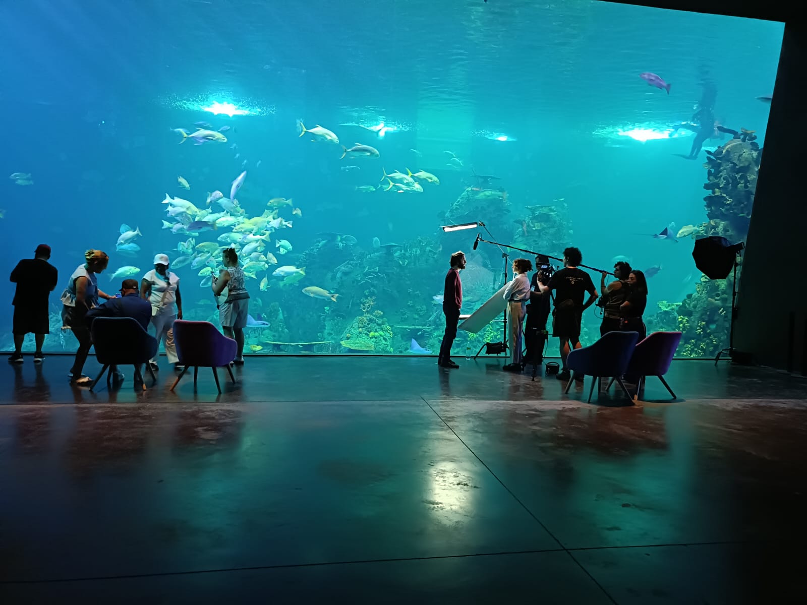 Acuario Mazatlán