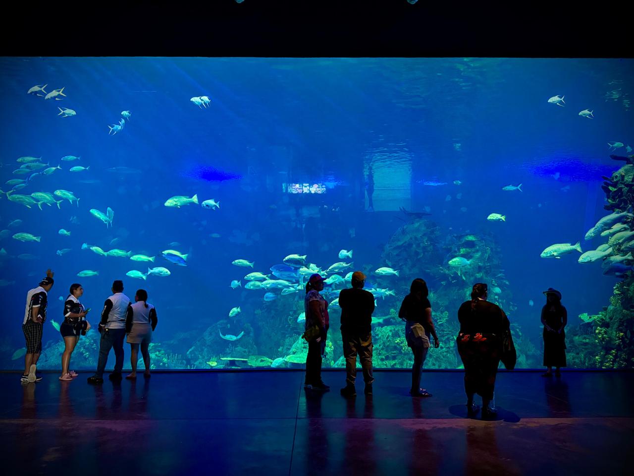 Gran Acuario de Mazatlán