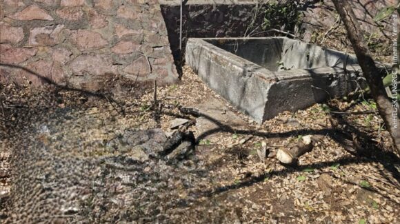 Hallan cuerpo en contenedor de agua en antiguas instalaciones de Pemex; activan operativo en Mazatlán, Sinaloa