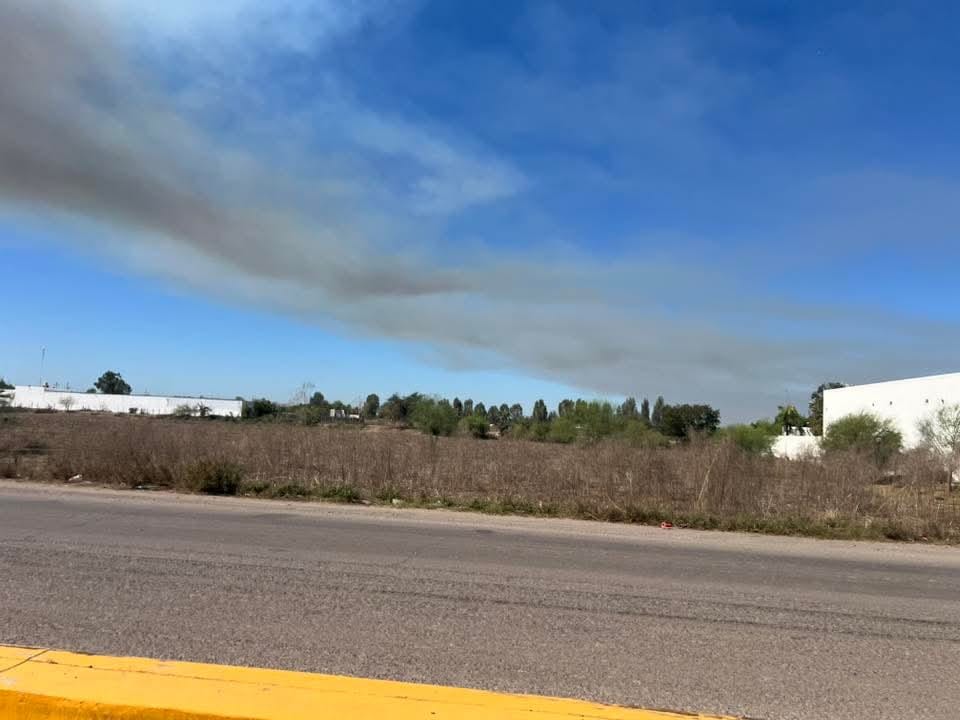 Humo Guasave