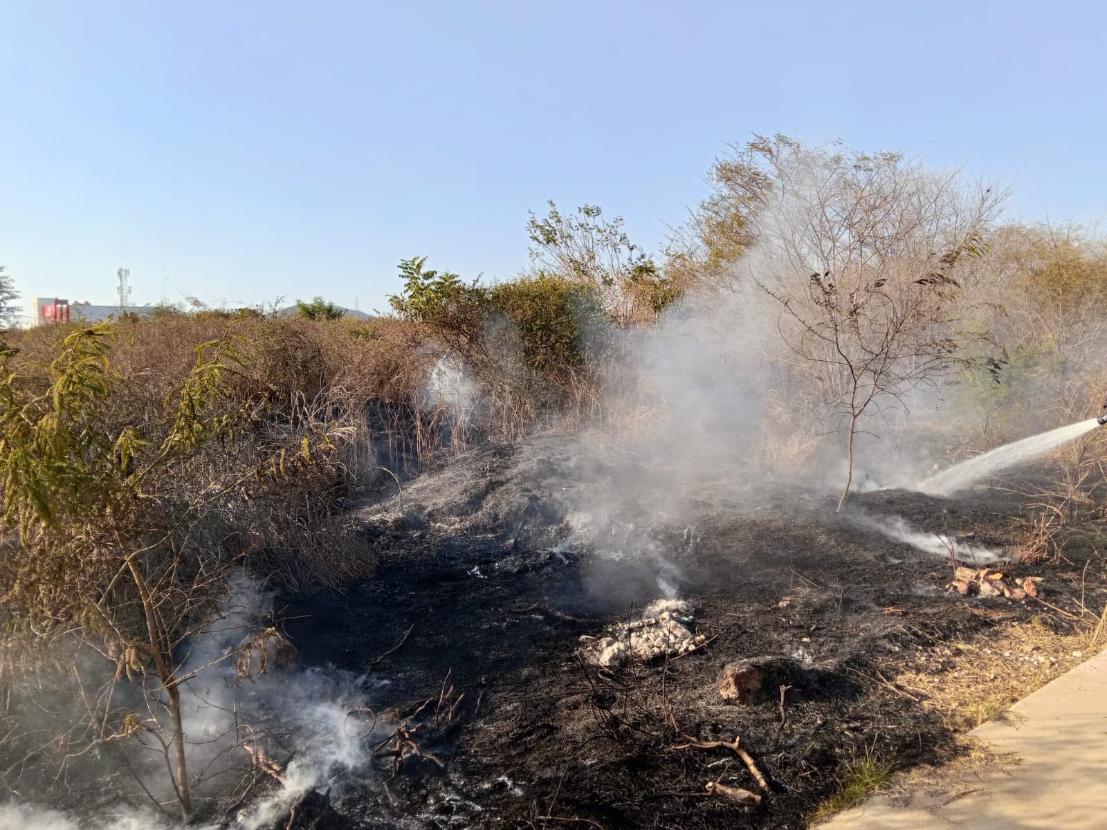 Incendio en baldío de Mazatlán, Sinaloa