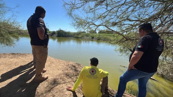 Preparan traslado del cocodrilo de Carricitos, Guasave, Sinaloa, a reserva ecológica; su captura está en proceso