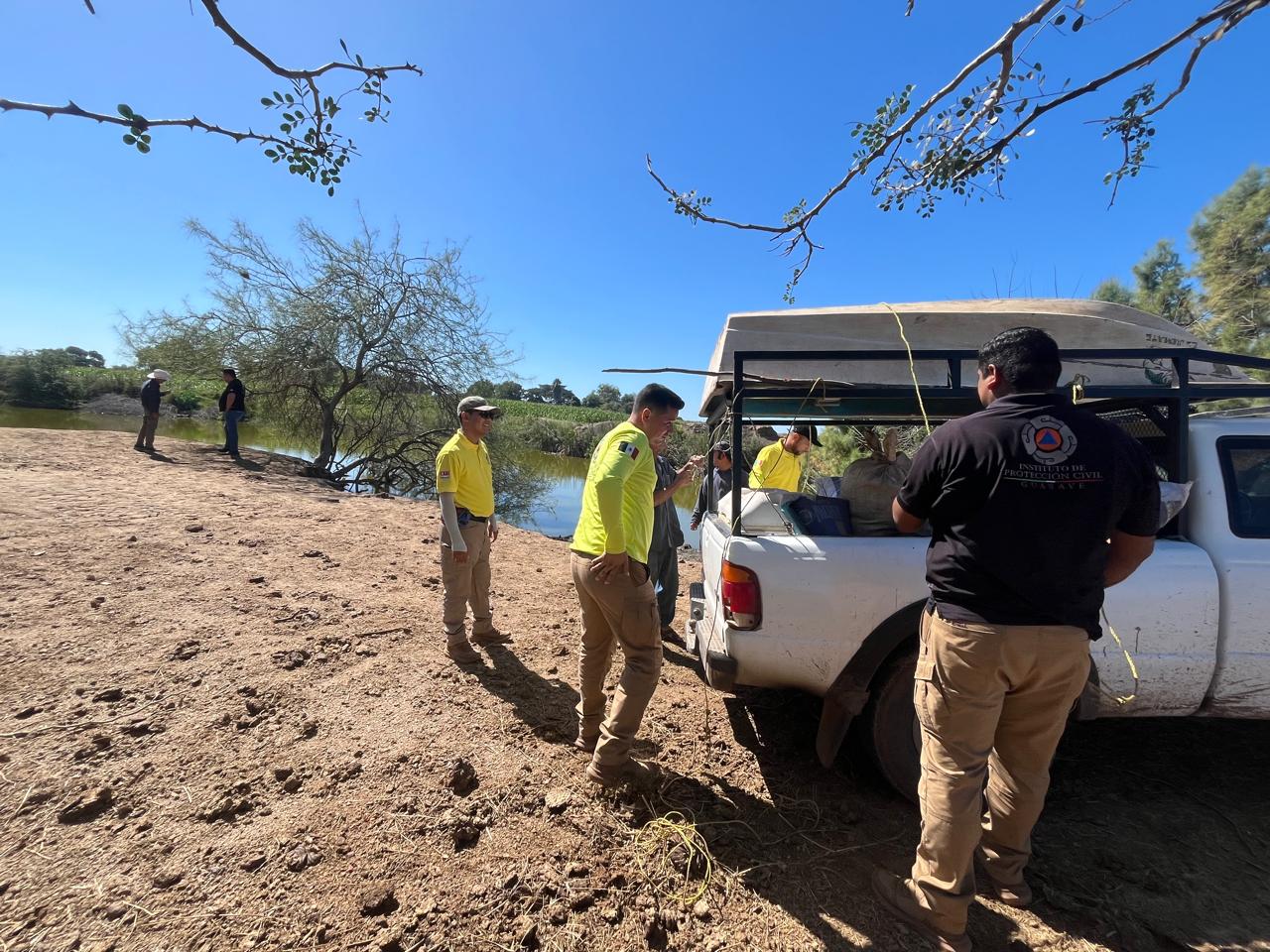 Autoridades intentan capturar al cocodrilo de Carricitos, Guasave, para reubicarlo