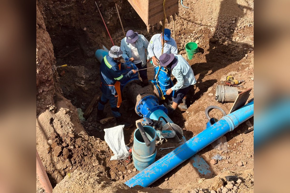 interconexión en la Planta Las Cucas