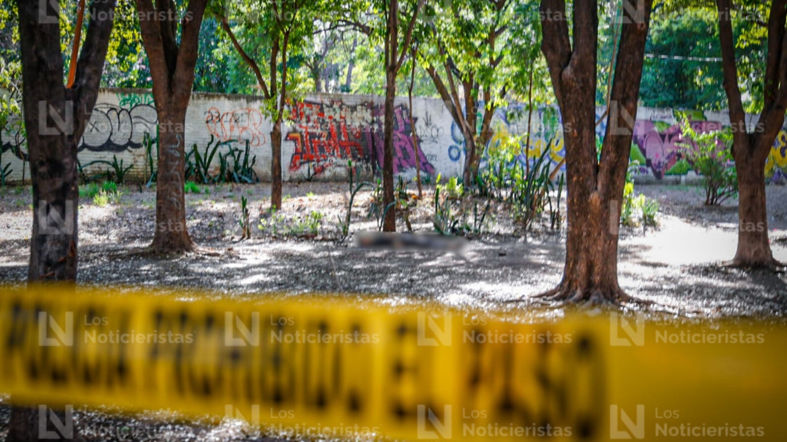 joven ejecutado a balazos