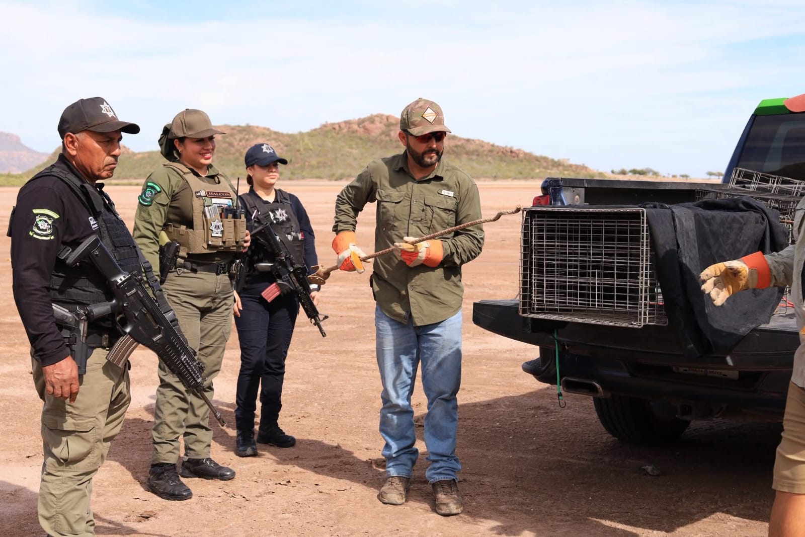 Liberan a Lince en la bahía de Navachiste