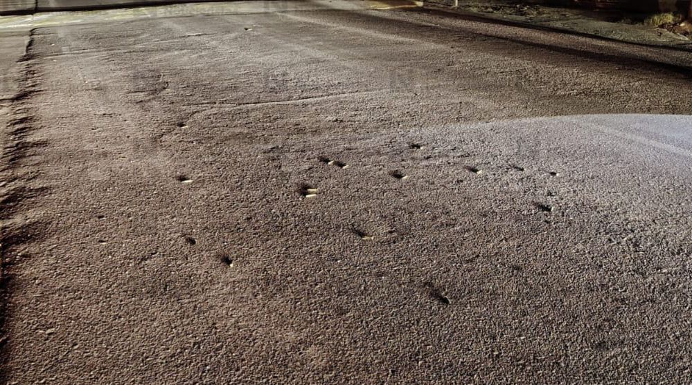 Localiza casquillos tras reporte de balacera en Tepuche, Culiacán