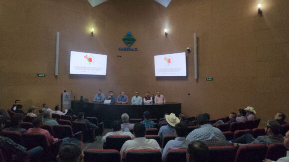 Buscan reconvertir actividad de producción de mango de la zona norte ante tecnificación del Distrito de Riego 075