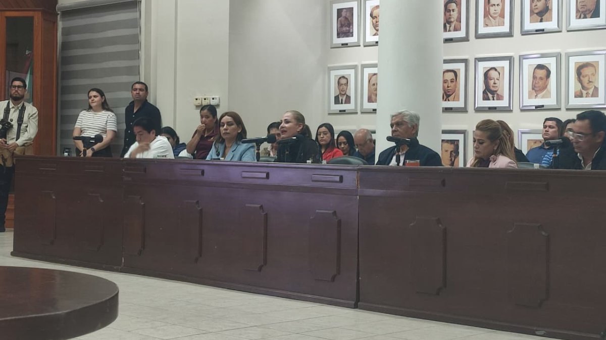 maribel chollet del pri